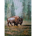 8x 10" Buffalo Print